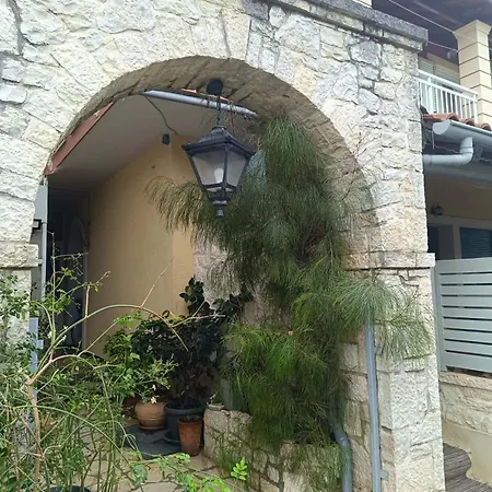 Zoe House * Sidárion