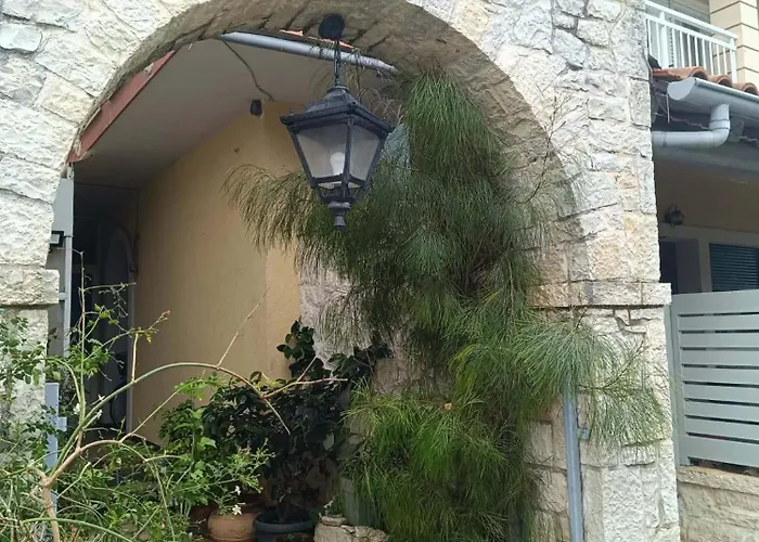 Zoe House * Sidárion