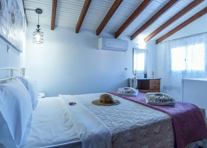 Zoe House *